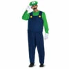 Luigi Deluxe Adult -The Costume Cove Store 11001 70596.1661441990