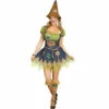 Lady Scarecrow -The Costume Cove Store 115474 11902.1666963403