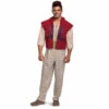 Aladdin Deluxe Adult -The Costume Cove Store 22618 95078.1595348333