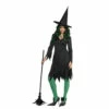 The Wicked Witch -The Costume Cove Store 840262 91837.1666989003