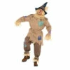 Mr. Scarecrow -The Costume Cove Store 840288 02821.1585505414