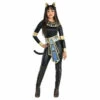 Egyptian Goddess -The Costume Cove Store 8404046 46670.1598285449