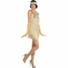 Charleston Champagne Flapper Dress 2 Charleston Champagne Flapper Dress -The Costume Cove Store 8405907 36736.1666989215