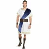 Deluxe Toga Set -The Costume Cove Store 8406805 45685.1631220946