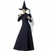 Deluxe Witch -The Costume Cove Store CF1022 39999.1684432002